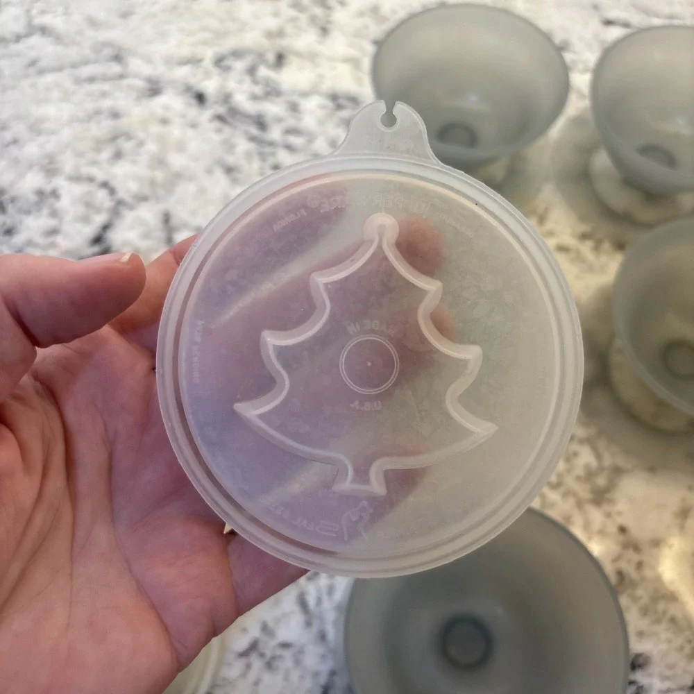 5 Vintage Tupperware Jello Mold Jel-N-Serve Gelatin‎ Bowls with Molds Lids